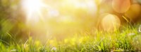 AdobeStock_102584189_abstract_spring.jpeg