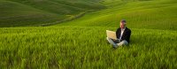 AdobeStock_110600007_man_grass.jpeg