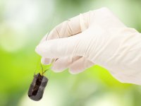 AdobeStock_26661703_biotechnology_research.jpeg