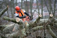 AdobeStock_41347385_cutting_wood.jpeg