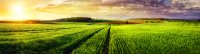 AdobeStock_84628947_rural_landscape.jpeg