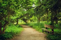 AdobeStock_85665028_bench.jpeg