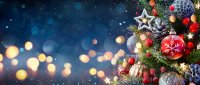 as293891339_Merry-Christmas-and-New-Year-from-all-at-NestForms.jpeg
