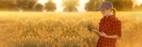 as355812218_farmer_with_tablet.jpeg