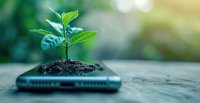 as707331407-Plant-growing-from-smartphone.jpeg