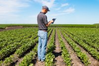 as_123652545_guy_tablet_field.jpeg