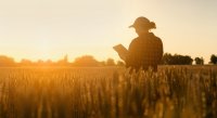 as_428421064_sunny_field.jpeg