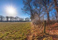 env-nf-countryside-winter-sunrise-2023-11-27-04-52-39-utc.jpg