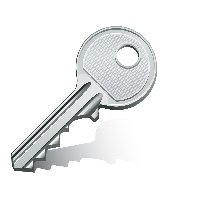 iStock_000013226957_vector_key2.jpg