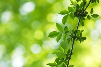 istock_000008704876xsmall.jpg