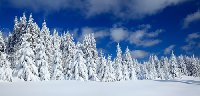 istock_000009240618small.jpg