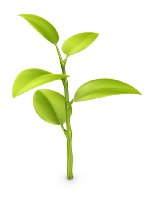 istock_000010722337xsmall.jpg