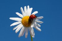 istock_000020823173small.jpg
